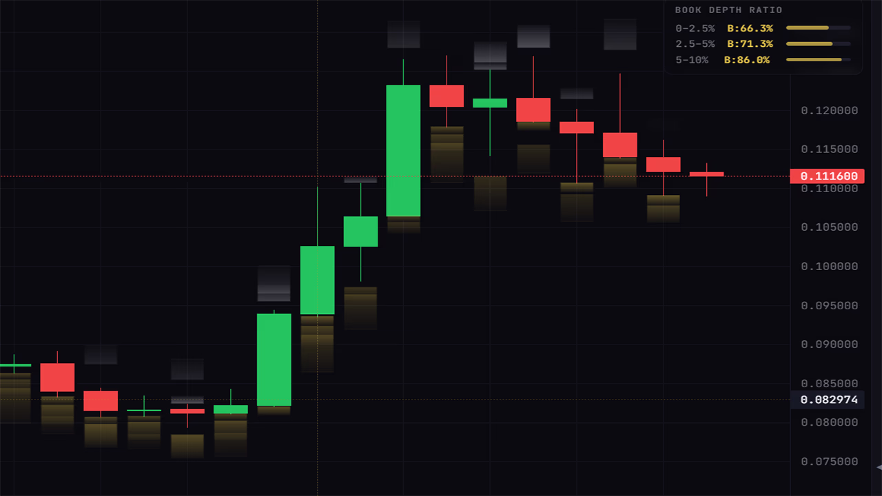 FlowEntry order book depth ratio visualization